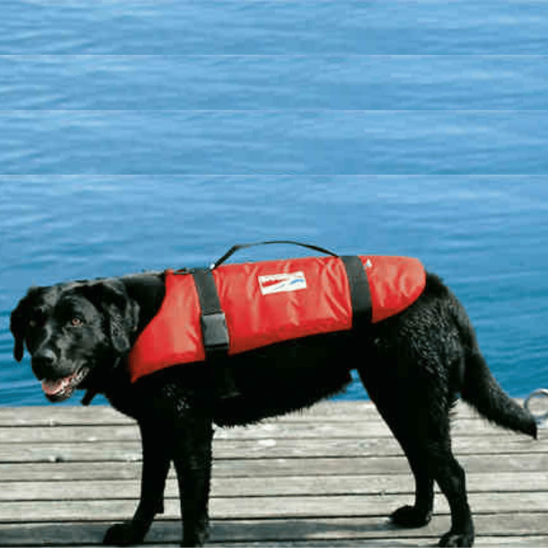 Schwimmhilfe für Katzen und Hunde