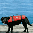 Schwimmhilfe für Katzen und Hunde