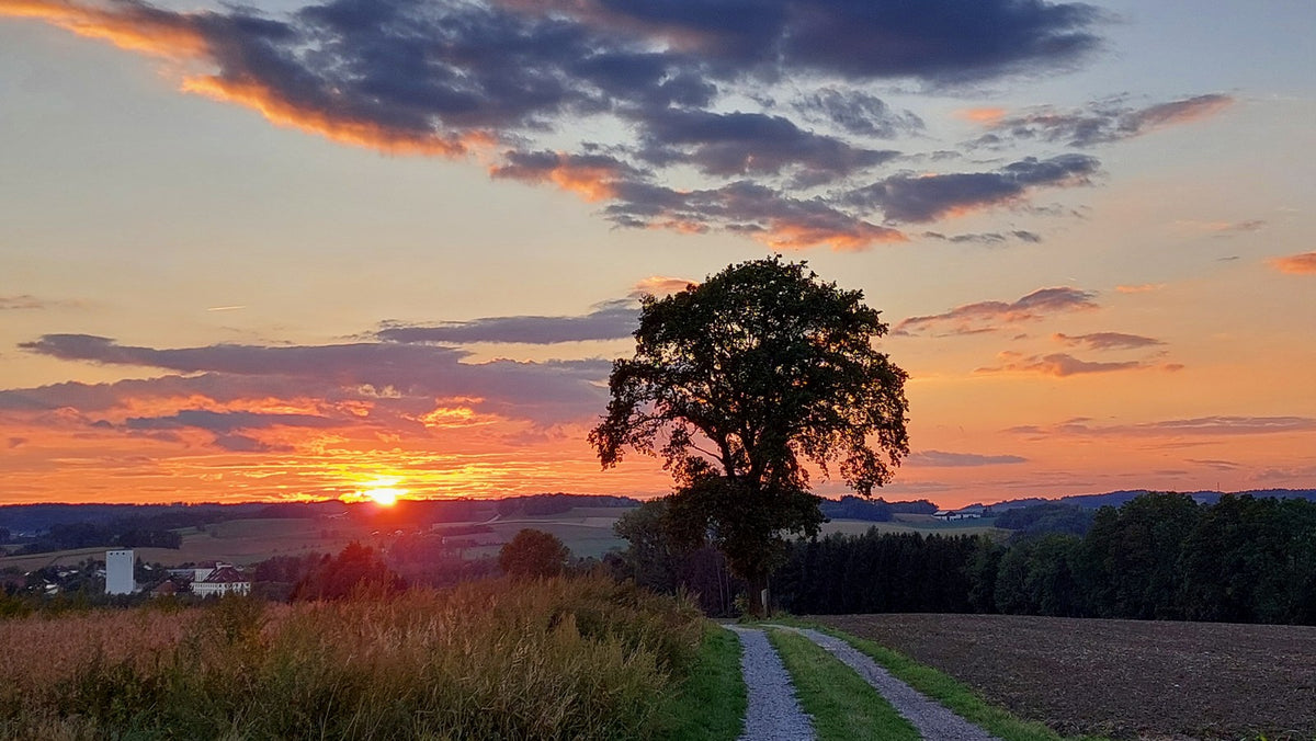 Einfach vorsorgen.